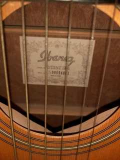Ibanez Acoustic guitar 19May24