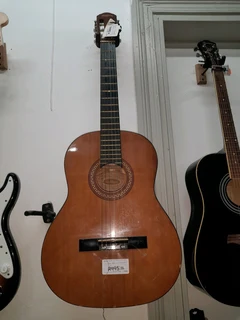 Washburn Guitar 05Aug24