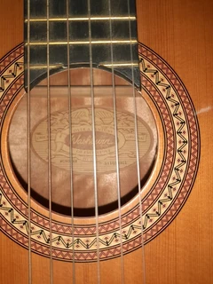 Washburn Guitar 05Aug24