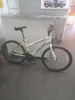 Raleigh bike 166Aug24