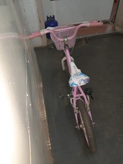 Pink bike 51Nov24