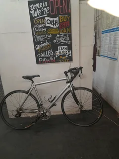 Schwinn fastback bicycle 79July25