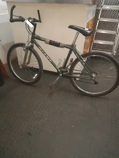 Gaint mountain bike 82July25