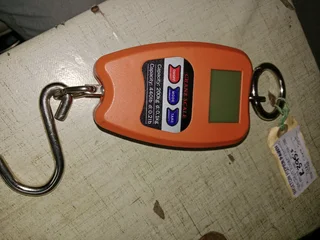 Crane scale 200kg. 112Oct25