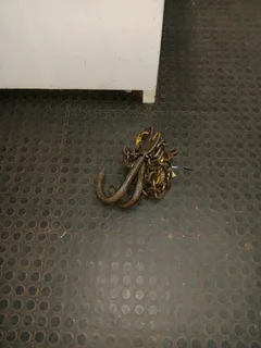 Towing chains 113Oct25