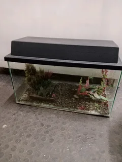 Fish tank with accessories (62cm x 32cm x 34cm) 30Dec25