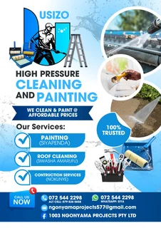 PRESSURE WASHING AND PAINTING 4U