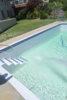 Swimming pool installation services