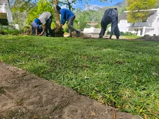 Just grass landscaping