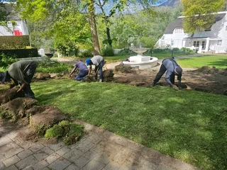 Just grass landscaping