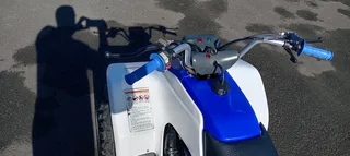 Yamaha Breeze 125 Automatic