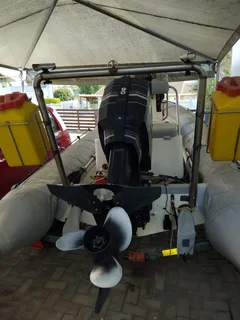 Rubber duck met 90 Mercury enjin