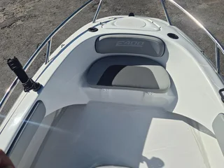 Demo E400 with 60HP Suzuki Four Stroke