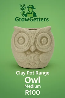 Clay Pots