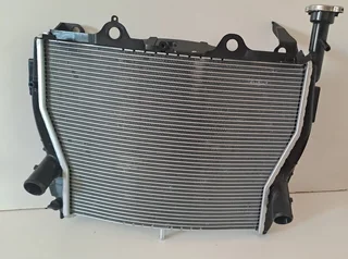 Motorcycle Radiator BMW S1000RR