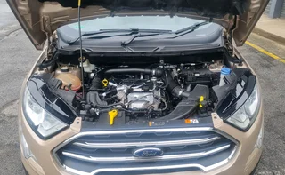 Ford ecosport 2018 with service history