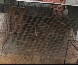 Cages for sale