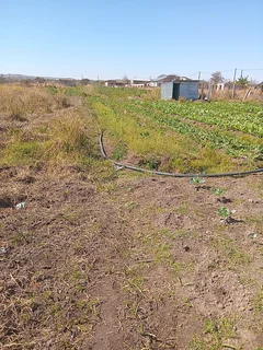 A Plot at Mahlabathini Village Kwamhlanga Ideal for Planting Vagitable for Sale