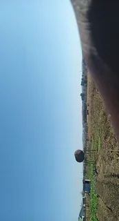 A Plot at Mahlabathini Village Kwamhlanga Ideal for Planting Vagitable for Sale