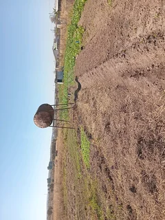 A Plot at Mahlabathini Village Kwamhlanga Ideal for Planting Vagitable for Sale