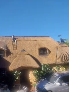 Thatch roof repairs and maintenance 0665833447