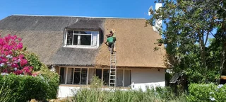Lapas thatch lapas 0665833447