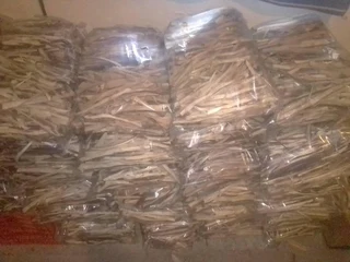 PORT JACKSON FIRESTARTERS