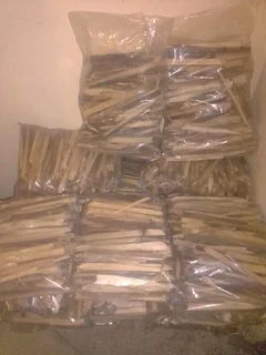 PORT JACKSON FIRESTARTERS