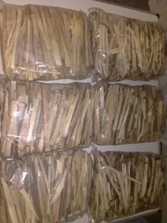 PORT JACKSON FIRESTARTERS