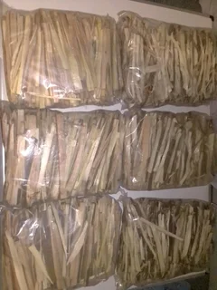 PORT JACKSON FIRESTARTERS