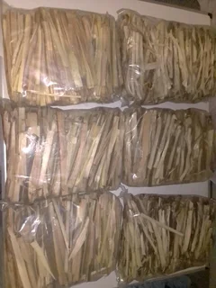 PORT JACKSON FIRESTARTERS