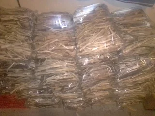 Port-jackson Firestarters