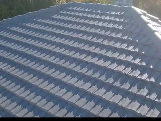 Professional Painter