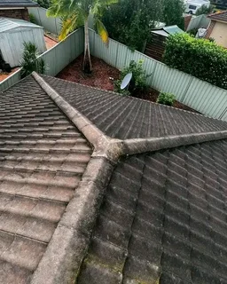 Professional Painter