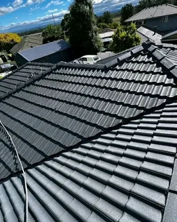 Professional Painter