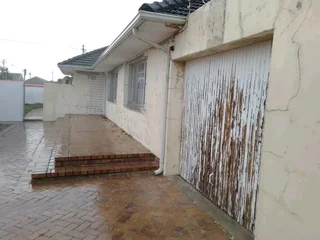 Professional Painter