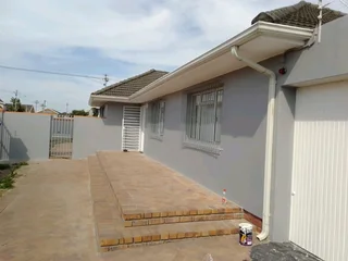 Professional Painter