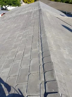 Professional Painter