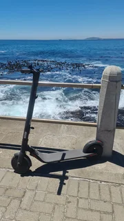 Segway ninebot electric scooter