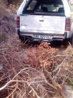 Garden - Ad posted by Walter Mushonga