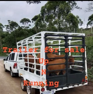 2023 - Ad posted by Dumsani Ngubane