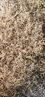 5KG Premium OAK Shavings Bags for Mushrooms ETC. #Collect/Delivery!