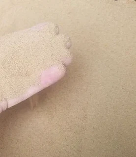 VermiculturePOWDER #Soil amending/Fertilising/Anti-mold/Immune-Booster/Pest Control #WeCourier!