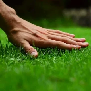 VermiculturePOWDER #Soil amending/Fertilising/Anti-mold/Immune-Booster/Pest Control #WeCourier!