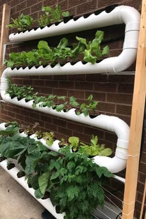 VermiculturePOWDER #Soil amending/Fertilising/Anti-mold/Immune-Booster/Pest Control #WeCourier!