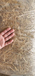 Premium Mushroom/Mycelium Substrate Options! #WeDeliver!