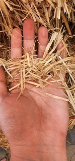 Premium Mushroom/Mycelium Substrate Options! #WeDeliver!