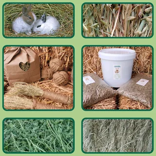 TOP Quality HAYS/QUICK Service/BEST Delivery!