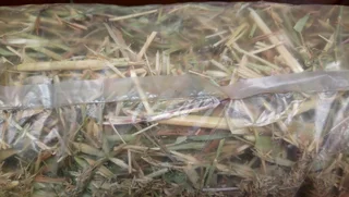 TOP Quality HAYS/QUICK Service/BEST Delivery!