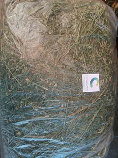 TOP Quality HAYS/QUICK Service/BEST Delivery!